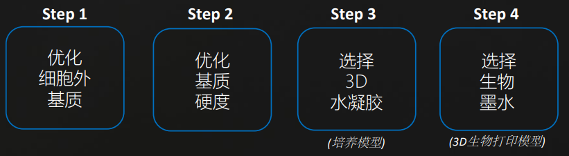 3D組織工程步驟