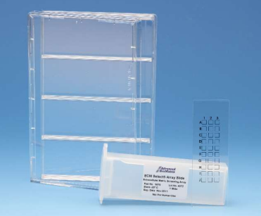 細(xì)胞外基質(zhì)