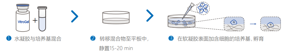 2D包被培養(yǎng)