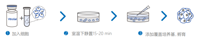 3D包裹培養(yǎng)