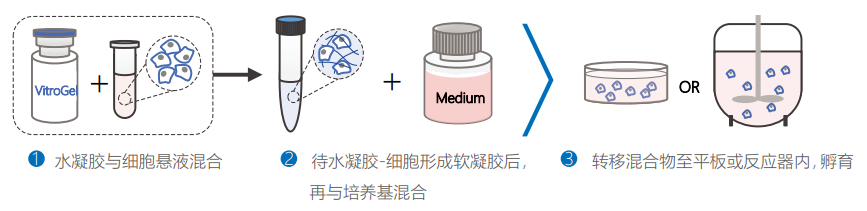 3D靜態(tài)懸浮/液滴培養(yǎng)
