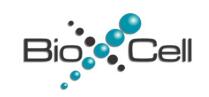BioXCell.jpg