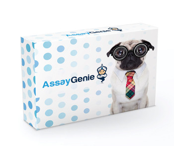 Assay Genie代理 試劑盒
