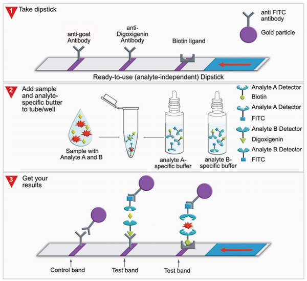 Milenia Biotec-3.png