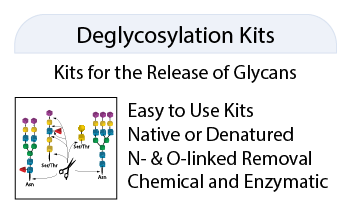 LudgerLiberate Hydrazinolysis Kit.png