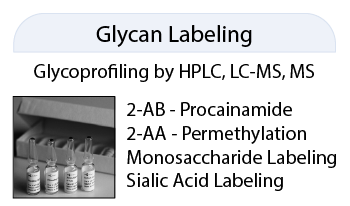 QA-Bio聚糖標記產(chǎn)品