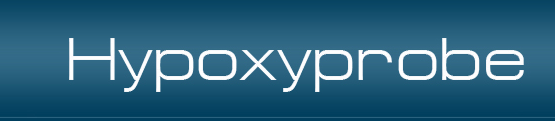 Hypoxyprobe.png