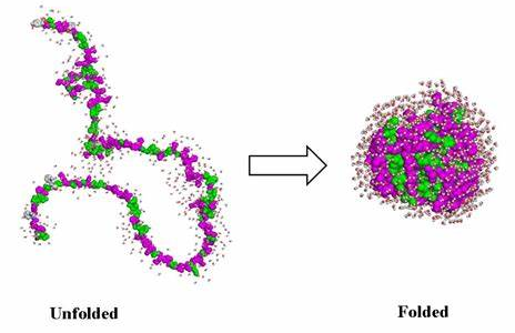 ProFoldin折疊蛋白