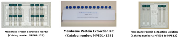 ProFoldin 膜蛋白提取試劑盒