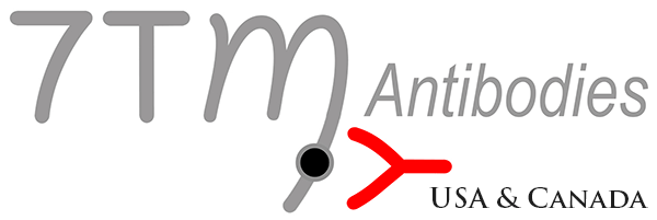 7TM Antibodies.png