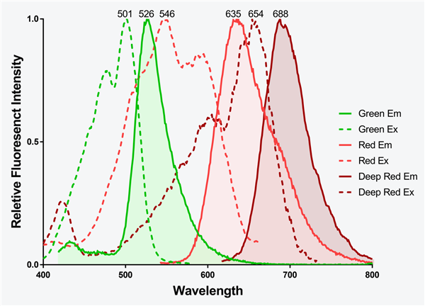 Gen Fluor 系列熒光二抗