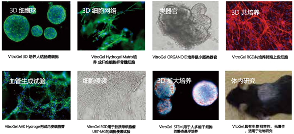 TheWell Bioscience-1.png