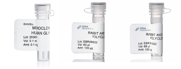 Ethos Biosciences代理抗體