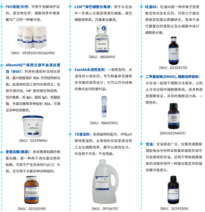 MP Biomedicals-6.png