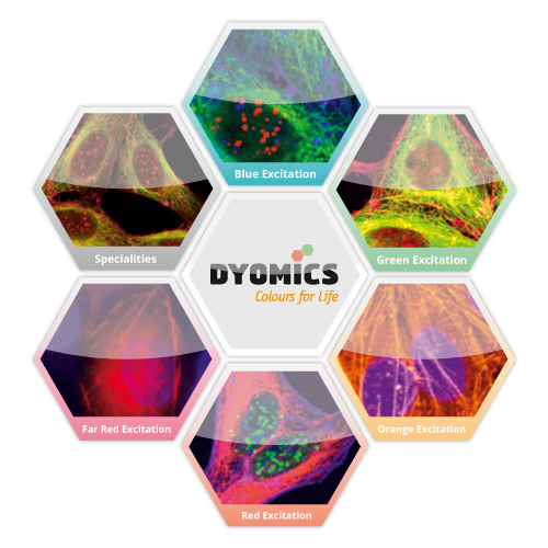 Dyomics-1.png