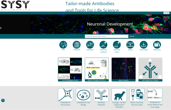 Synaptic Systems-1.png