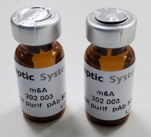 Synaptic Systems-2.png