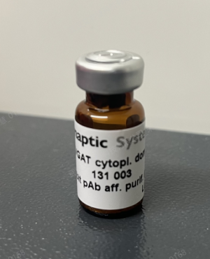 Synaptic Systems-3.png