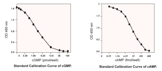 BioVision cAMP/cGMP定量分析試劑盒推薦