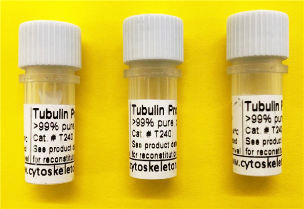 Tubulin-Protein產(chǎn)品.jpg