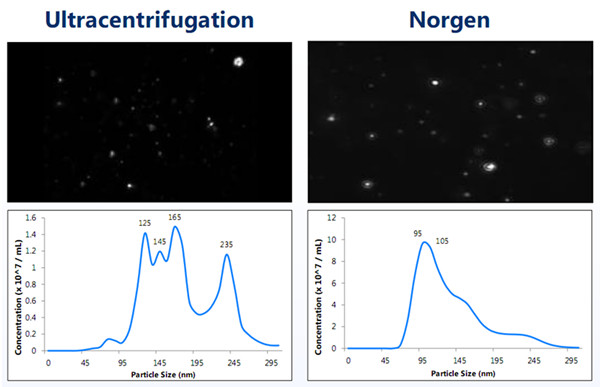 完整外泌體與使用超速離心發(fā)對比.jpg