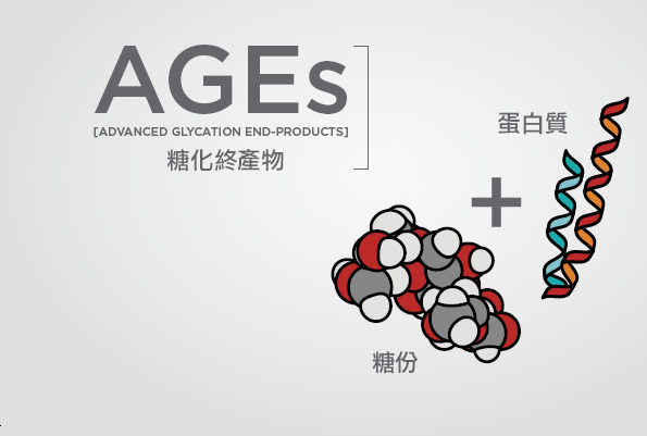 晚期糖基化終末產(chǎn)物AGEs.png