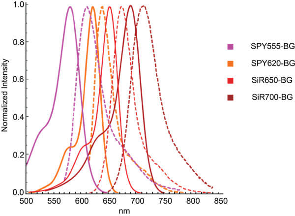 BG 衍生物的光譜.jpg