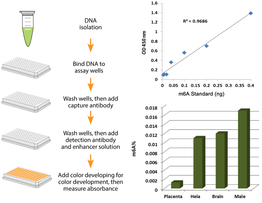 簡單方便的操作流程&穩(wěn)定可靠的實(shí)驗(yàn)結(jié)果 .png