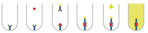 小鼠胰島素自身抗體(IAA)ELISA 試劑盒.jpg