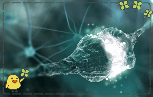 Fluoro-Jade C (FJC) 退化神經(jīng)元