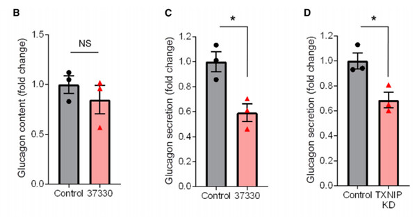 SRI-37330 治療抑制了胰高血糖素的分泌和功能.jpg