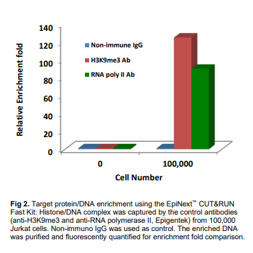 EpiNext CUT&RUN Fast Kit結(jié)果展示.png