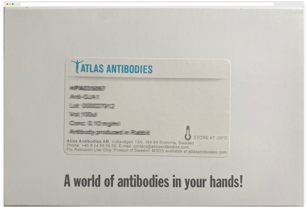 Atlas AntibodiesATRX多克隆抗體.jpg