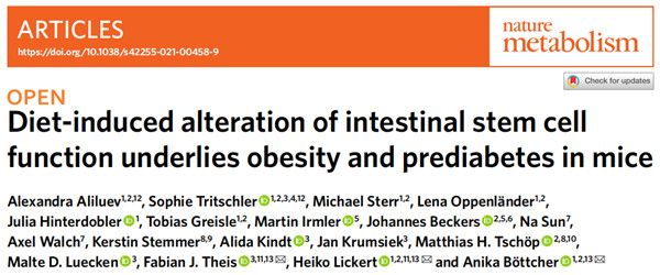 超敏胰高血糖素樣肽-1 ELISA Kit.jpg