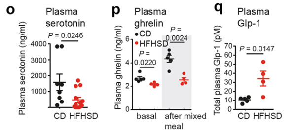 超敏胰高血糖素樣肽-1 ELISA Kit.jpg