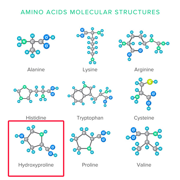 羥脯氨酸.jpg