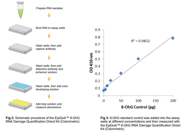 8-OhG RNA 損傷直接定量試劑盒（比色法）