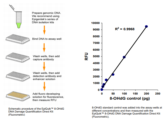 P-6004:8-OHdG DNA損傷直接定量試劑盒