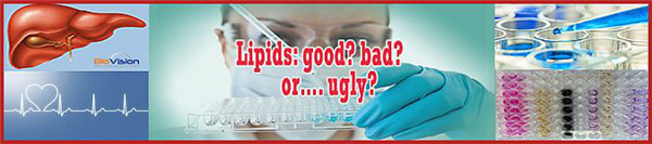 BioVision官網(wǎng)