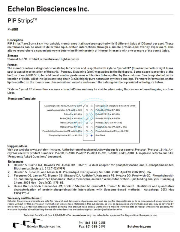 磷脂（磷脂酰肌醇，PI3）相關(guān)的各種抗體
