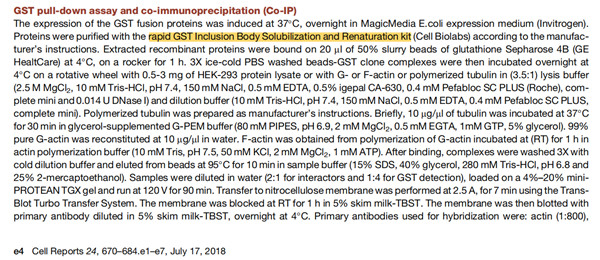 COMMD5/HCaRG 參與組織修復(fù)