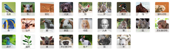 ELISA檢測試劑盒