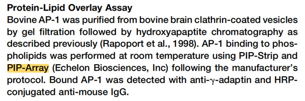 磷脂酰肌醇 4 磷酸