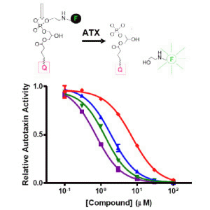 ATX抑制劑篩選試劑盒檢測結(jié)果