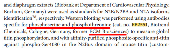 M通用型磷酸化絲氨酸/蘇氨酸抗體