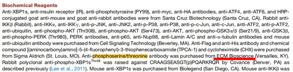 IKKβ 磷酸化 X-Box 結(jié)合蛋白 1