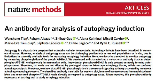 CYTO-ID自噬檢測試劑盒 2.0文章鑒賞