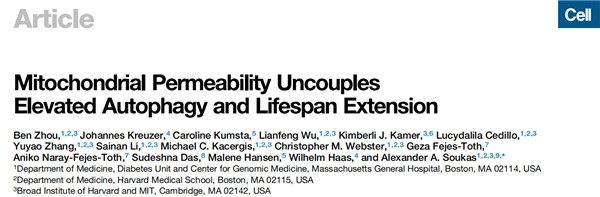 自噬在延長壽命的不同范例中是必需的