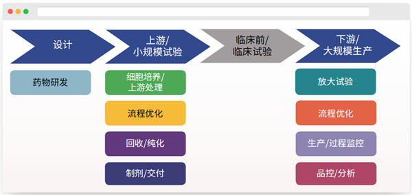 金黃色葡萄球菌蛋白A