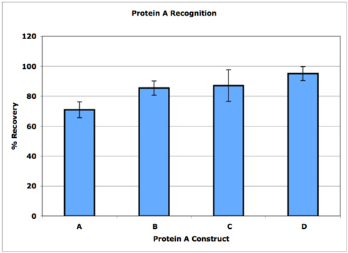 多種Protein A檢測回收率